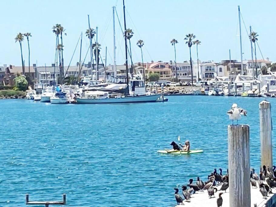 Gateway To Oxnard Beach Extérieur photo